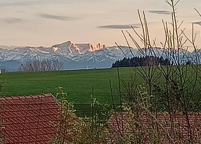 Apartment Berghof-glueck *